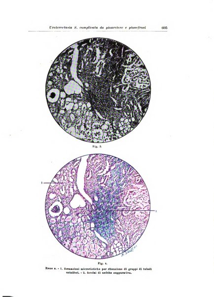 Archivio italiano di urologia