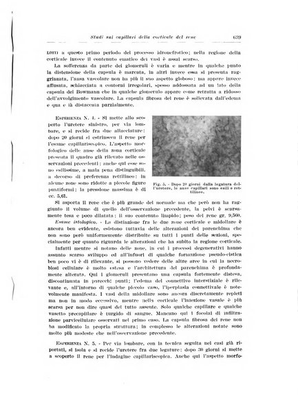 Archivio italiano di urologia