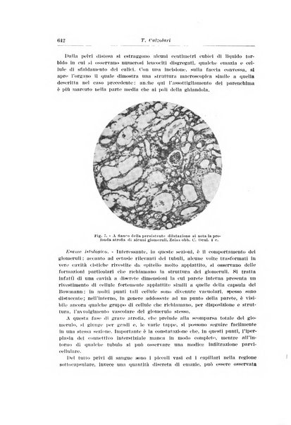 Archivio italiano di urologia