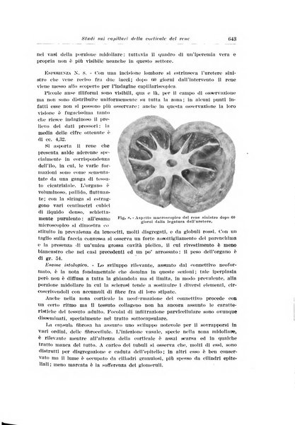 Archivio italiano di urologia