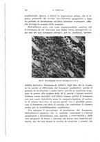 giornale/PUV0114683/1935/unico/00000772