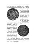 giornale/PUV0114683/1935/unico/00000840