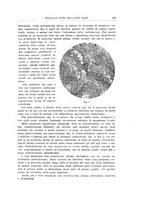 giornale/PUV0114683/1936/unico/00000161