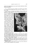 giornale/PUV0114683/1936/unico/00000229