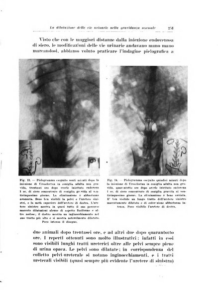 Archivio italiano di urologia