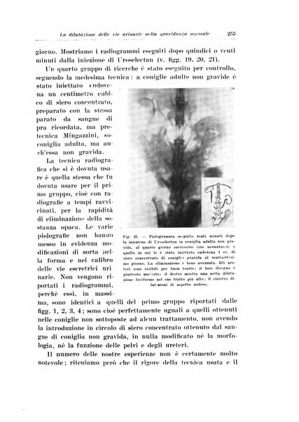 Archivio italiano di urologia