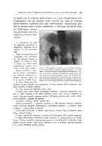 giornale/PUV0114683/1936/unico/00000299