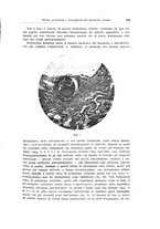 giornale/PUV0114683/1936/unico/00000389