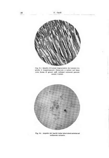 Archivio italiano di urologia