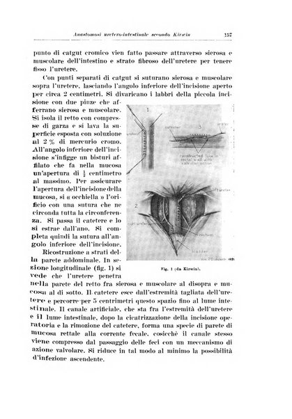 Archivio italiano di urologia