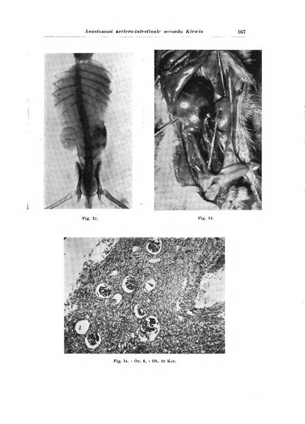 Archivio italiano di urologia