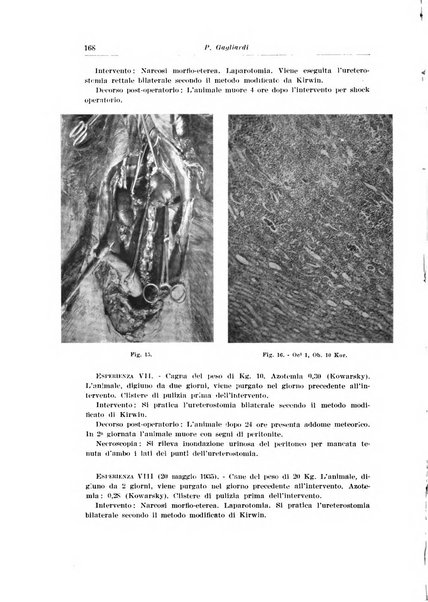 Archivio italiano di urologia