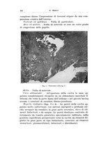 giornale/PUV0114683/1937/unico/00000272