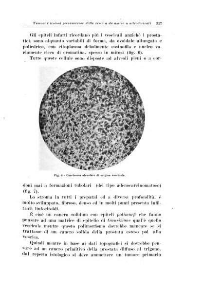 Archivio italiano di urologia