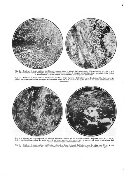 Archivio italiano di urologia