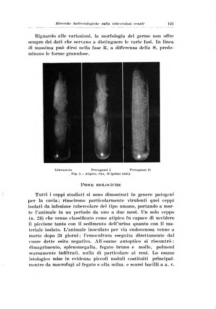 Archivio italiano di urologia