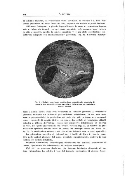 Archivio italiano di urologia