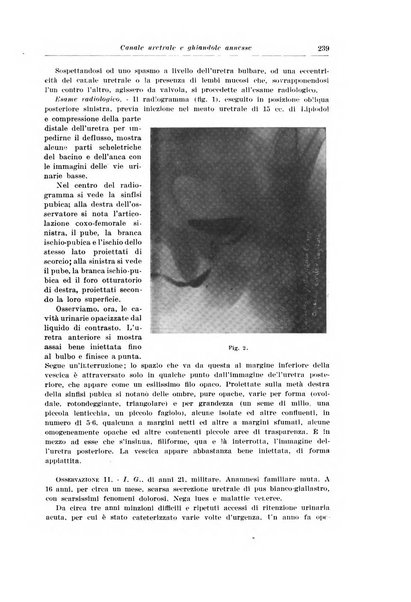 Archivio italiano di urologia