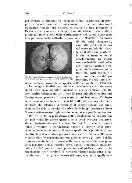 Archivio italiano di urologia