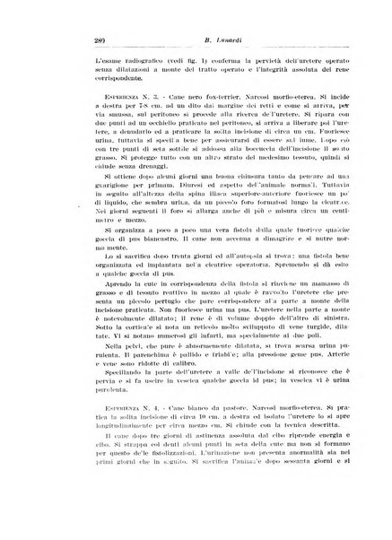 Archivio italiano di urologia