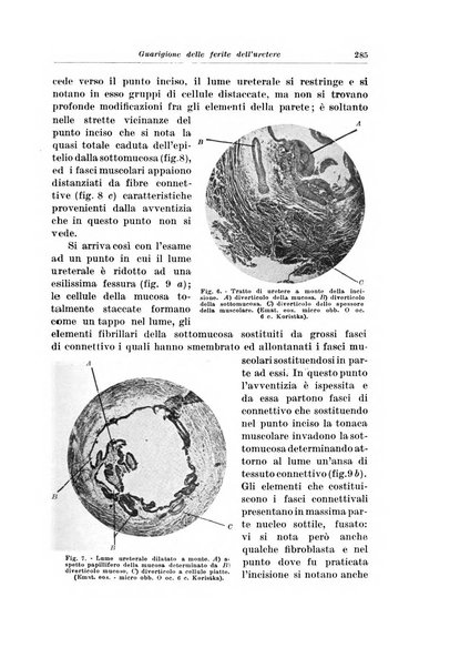 Archivio italiano di urologia