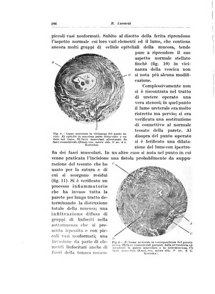 Archivio italiano di urologia