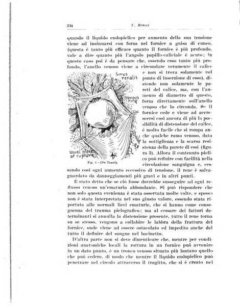 Archivio italiano di urologia