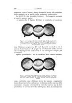 giornale/PUV0114683/1938/unico/00000518