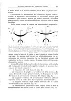 giornale/PUV0114683/1938/unico/00000519