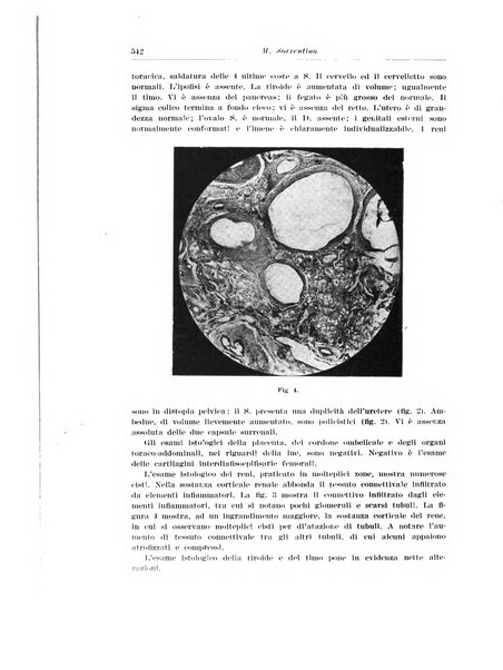 Archivio italiano di urologia