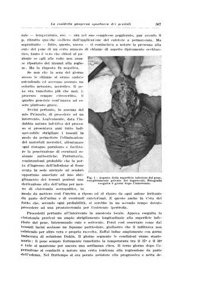 Archivio italiano di urologia