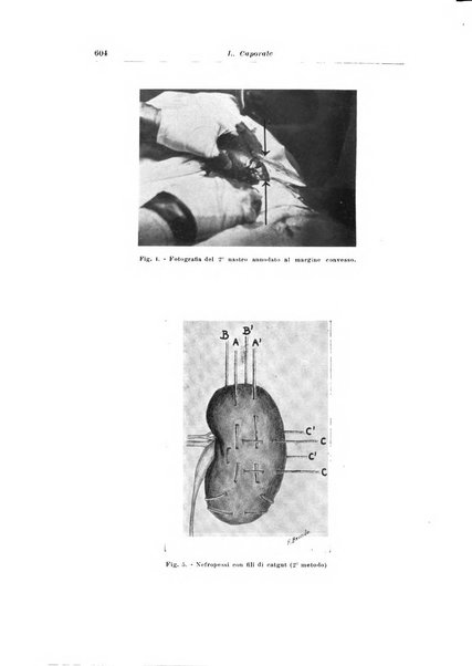 Archivio italiano di urologia