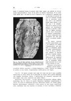 giornale/PUV0114683/1939/unico/00000102