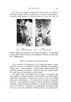 giornale/PUV0114683/1939/unico/00000143