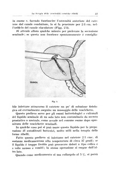 Archivio italiano di urologia