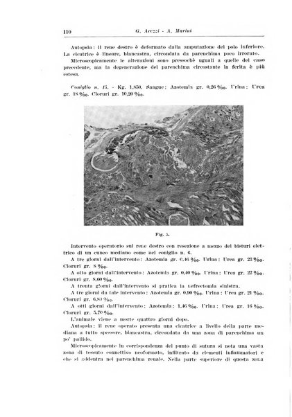 Archivio italiano di urologia