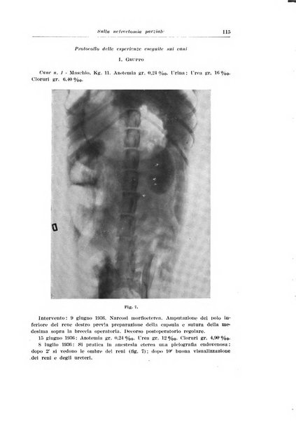 Archivio italiano di urologia