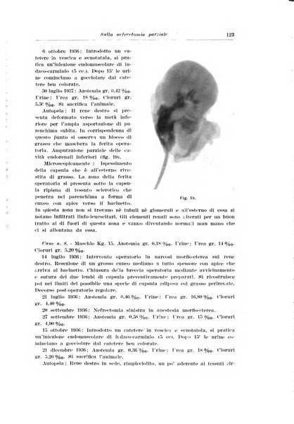 Archivio italiano di urologia