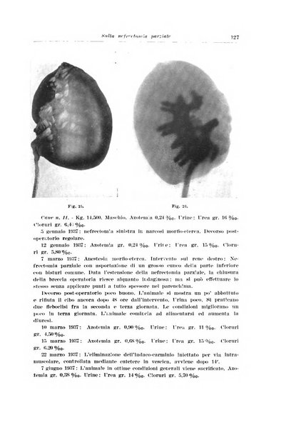 Archivio italiano di urologia