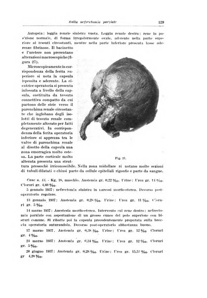 Archivio italiano di urologia