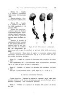 giornale/PUV0114683/1940/unico/00000217