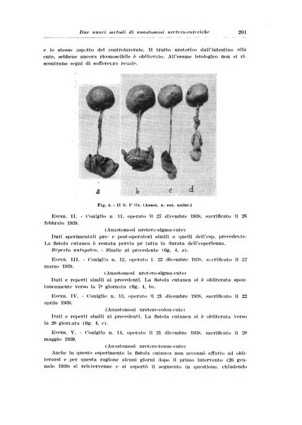 Archivio italiano di urologia