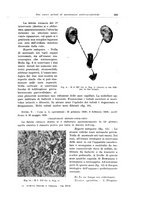 giornale/PUV0114683/1940/unico/00000223