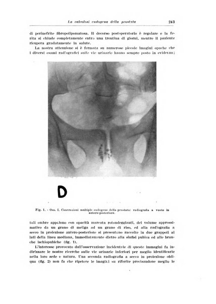 Archivio italiano di urologia