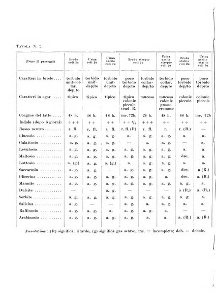 Archivio italiano di urologia