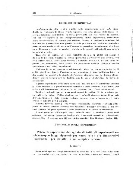 Archivio italiano di urologia