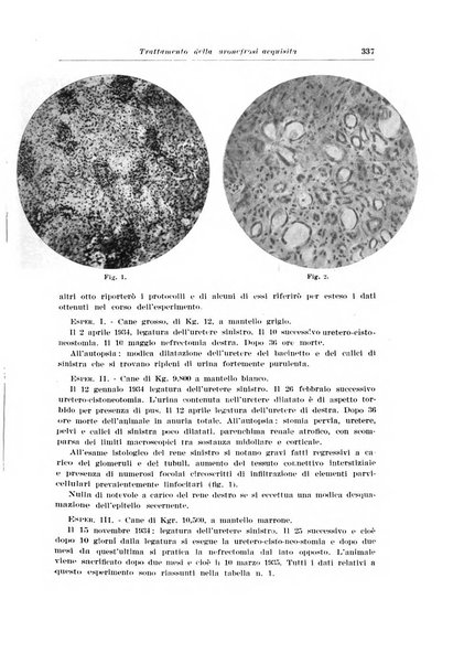 Archivio italiano di urologia