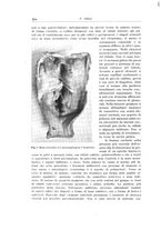 giornale/PUV0114683/1940/unico/00000424