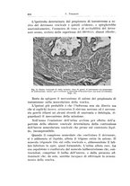 giornale/PUV0114683/1940/unico/00000536