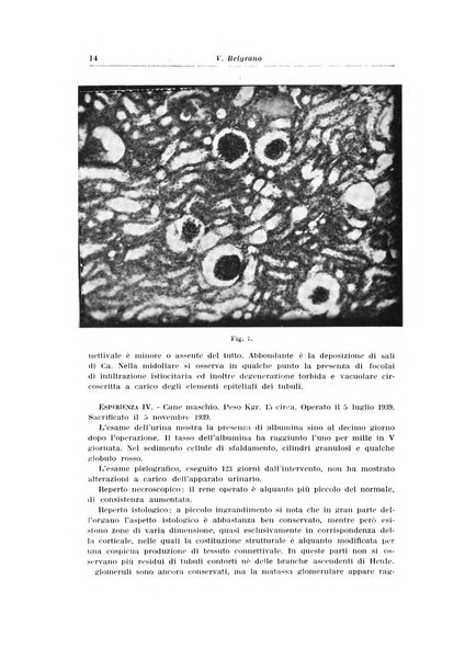 Archivio italiano di urologia